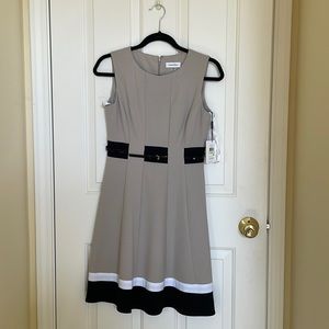Calvin Klein Dress Size 4P Color (Brown & Black)